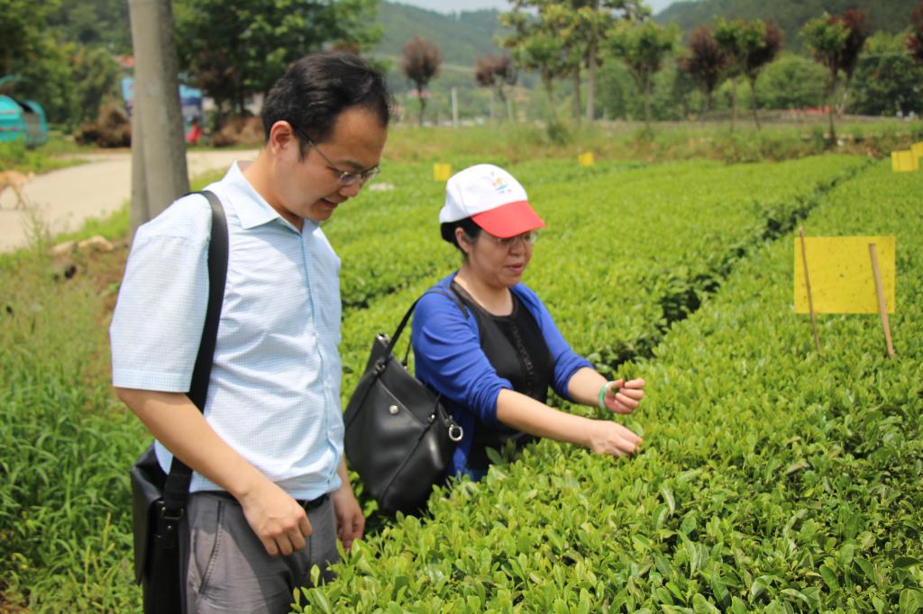 教师进农户，理论下基层——060net永利全体党员教师赴英山县乌云山村学习调研